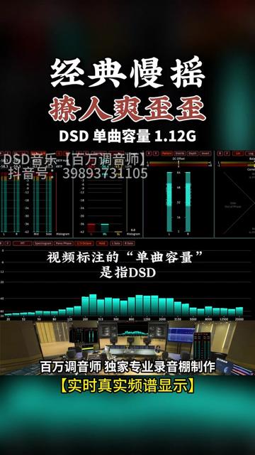 这音乐不仅节奏爽歪歪,还那么撩人!DSD完整版 ,单曲容量1.12G,百万调音师专业录音棚制作,顶级hifi无损音乐哔哩哔哩bilibili