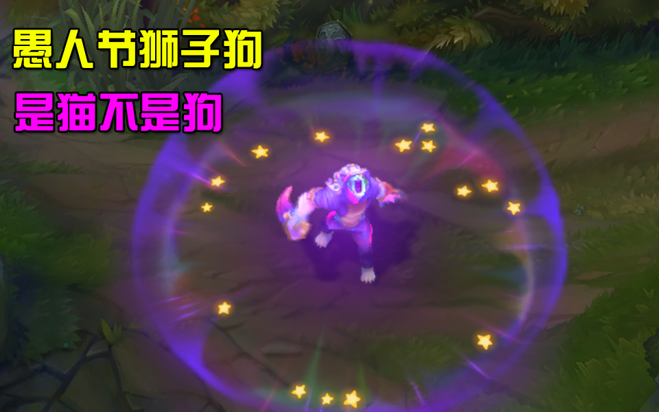 狮子狗愚人节新皮肤预览,是猫不是狗