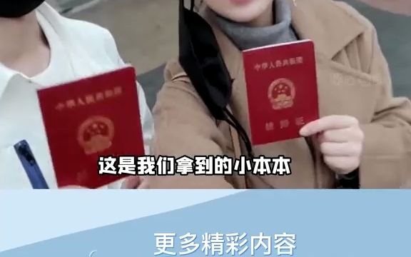 这俩是智性恋天花板吧哔哩哔哩bilibili