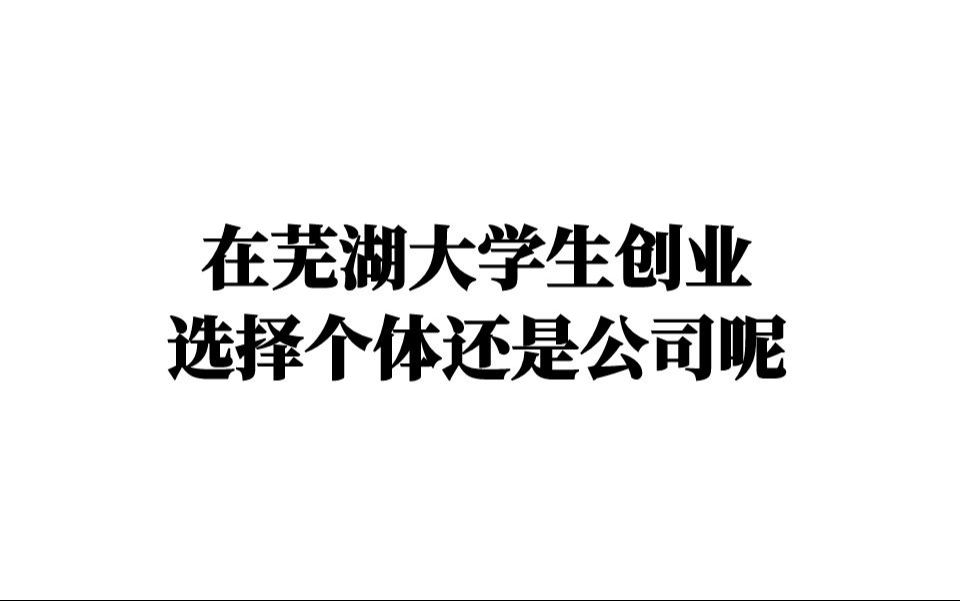 在芜湖大学生创业应该选择个体还是公司呢哔哩哔哩bilibili