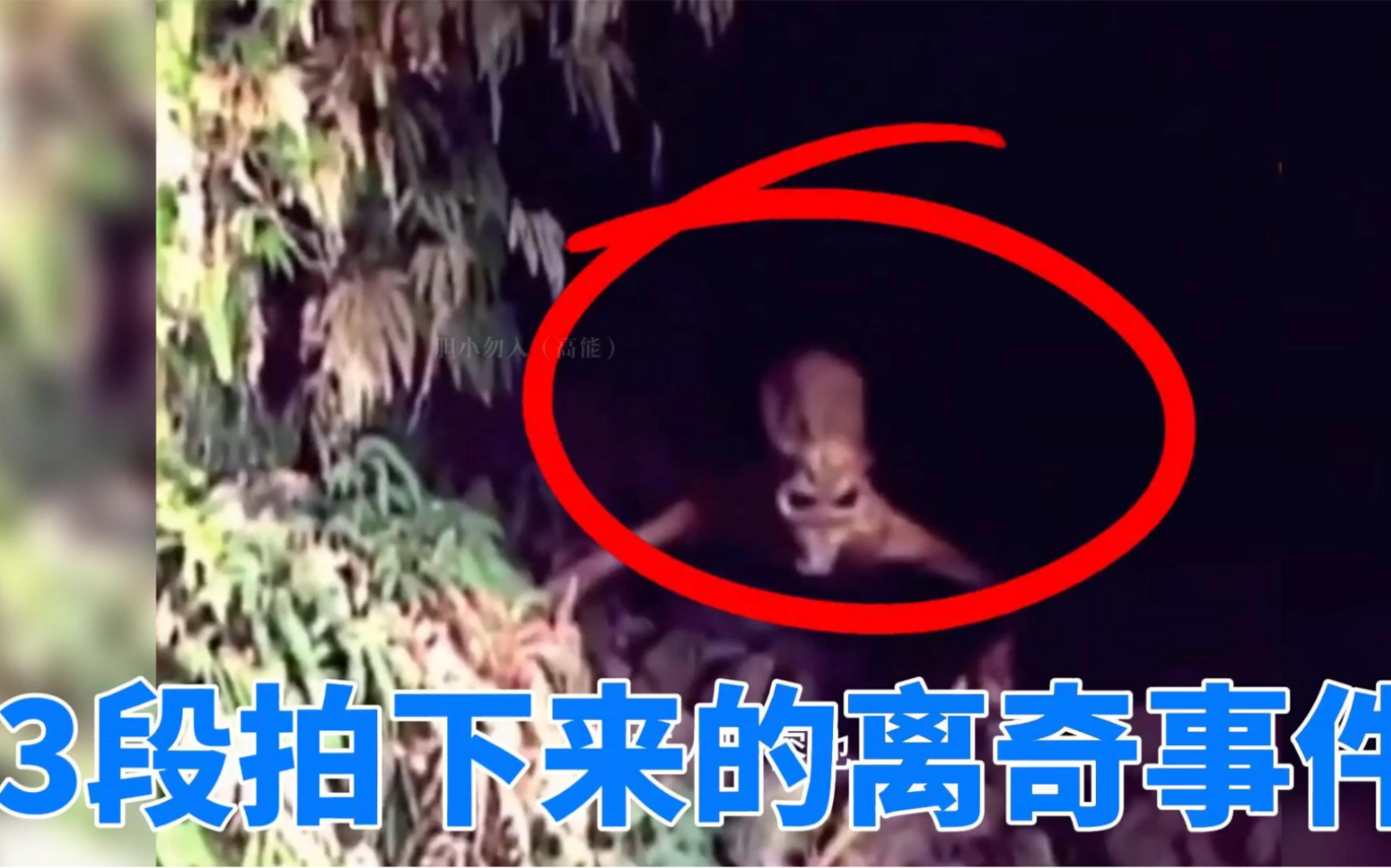 3段拍下的诡异画面-奇闻档案录-奇闻档案录-哔哩哔哩视频