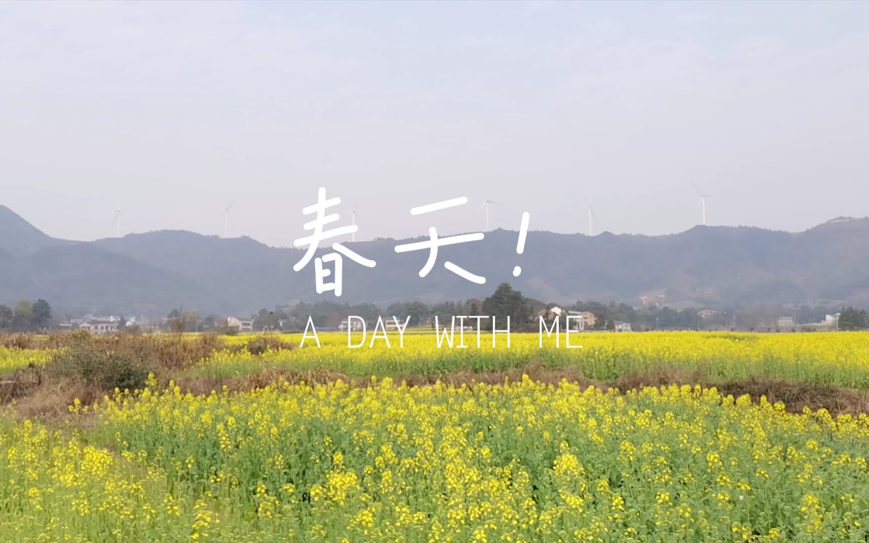 [图]治愈系风景-期待春天的来临！（油菜花）