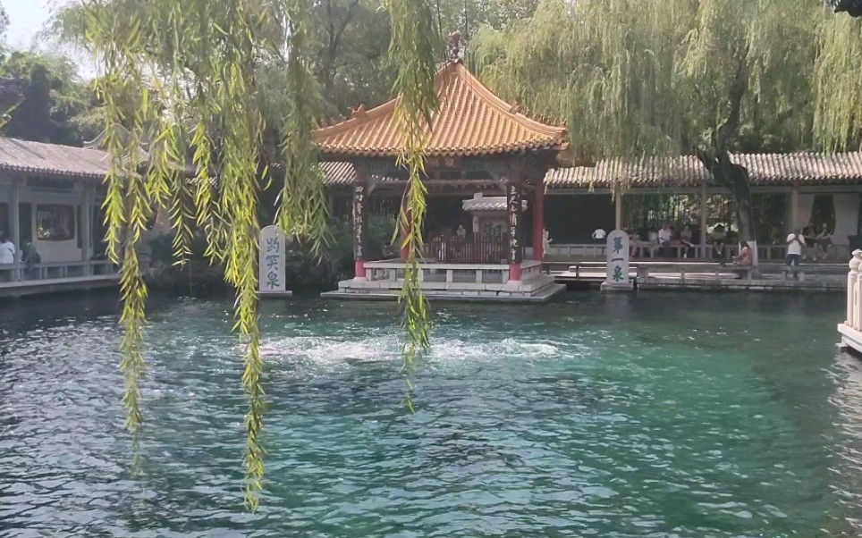 山东一路风景 济南趵突泉