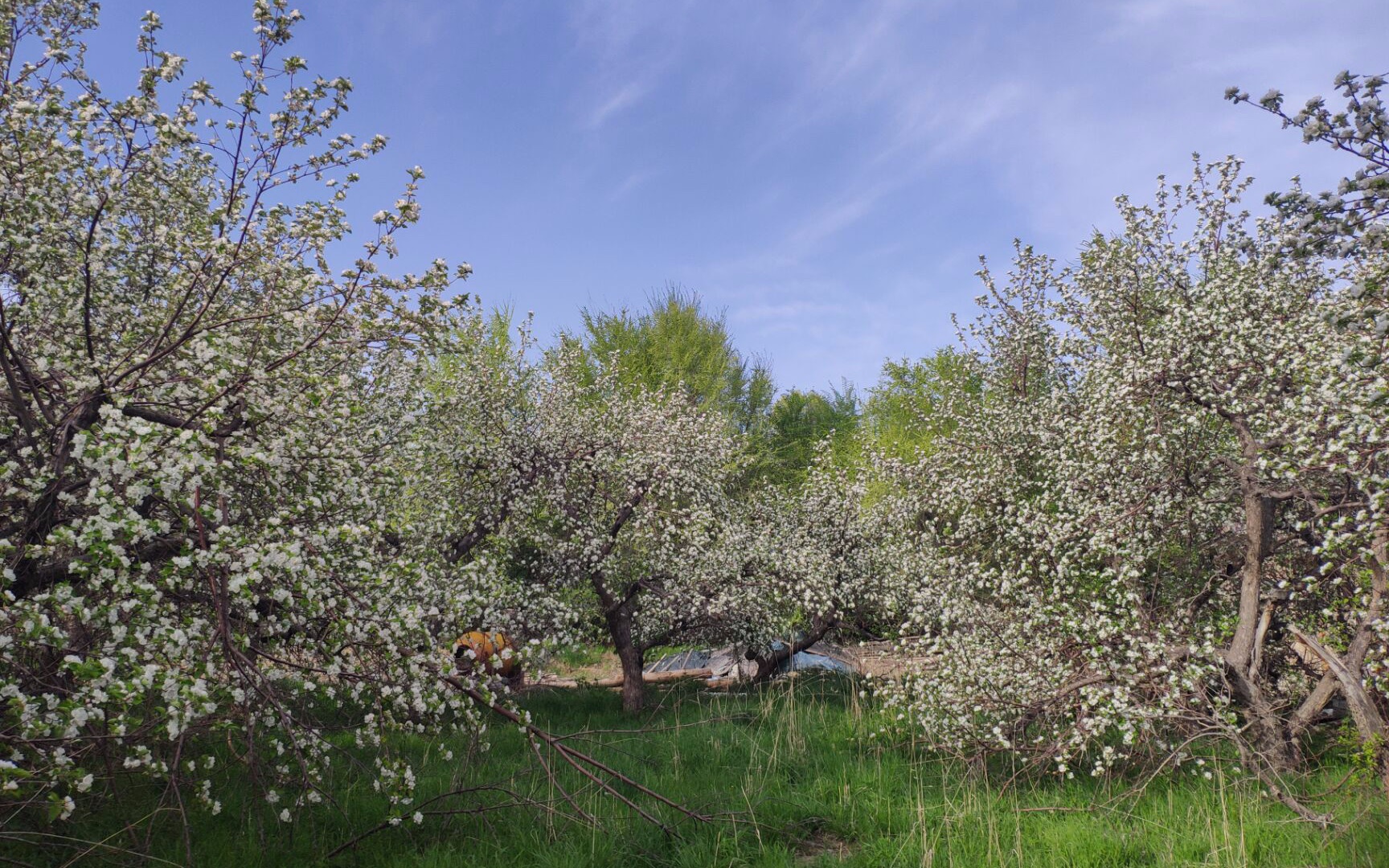 走近木垒书院_哔哩哔哩 (゜-゜)つロ 干杯~-bilibili