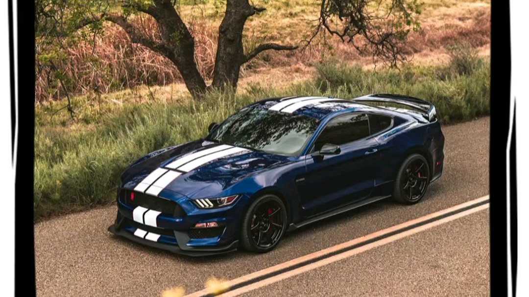 活动作品福特眼镜蛇