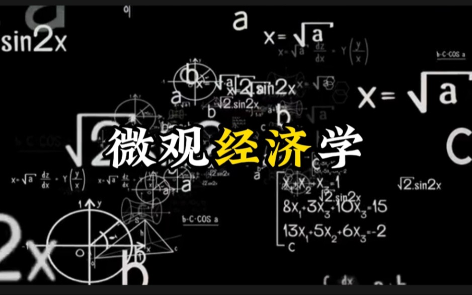 [图]什么是微观经济学，只需三分钟，看完这个视频你就会了解