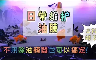 鱼缸油膜 搜索结果 哔哩哔哩 Bilibili