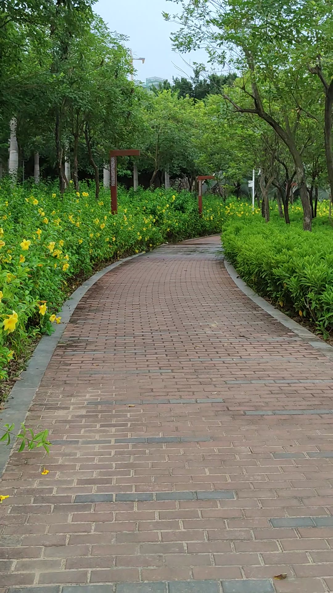 小米10s拍摄防抖挺牛