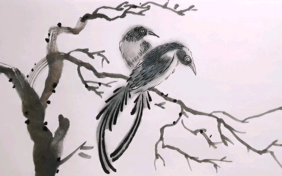 国画水墨画,画两只漂亮羽毛的鸟站在树枝上