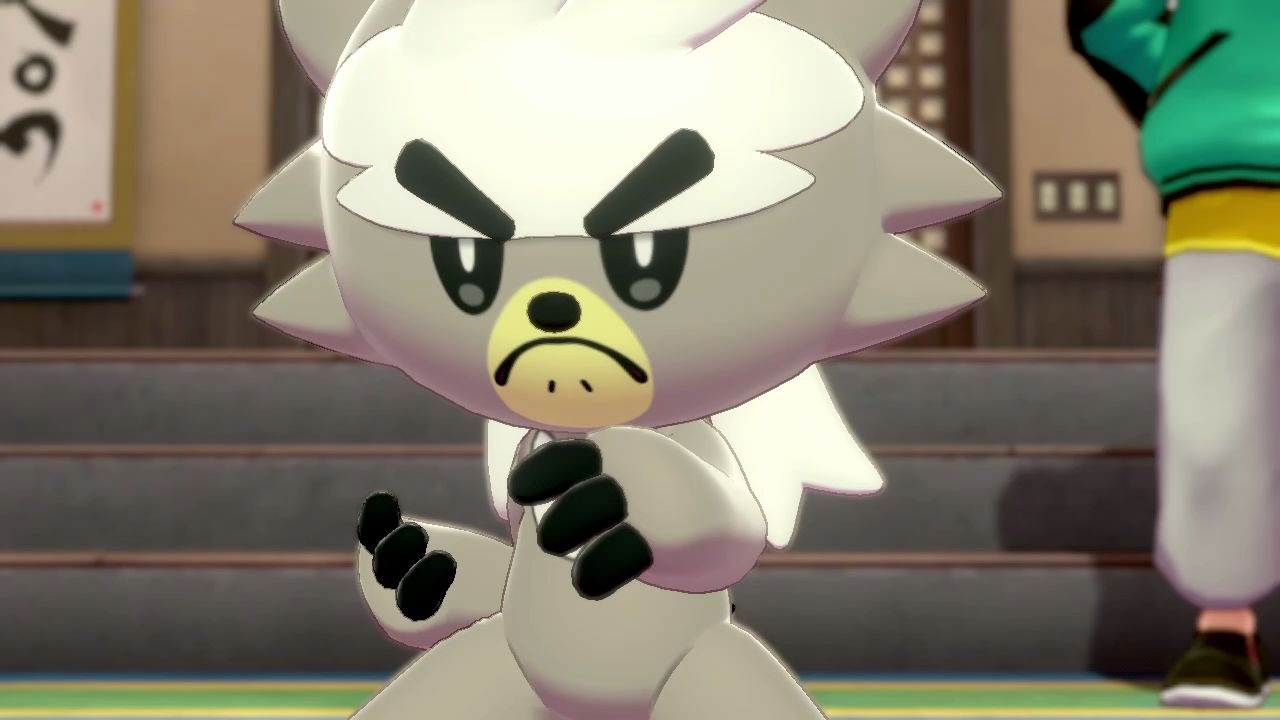 【剑盾】熊徒弟的初次见面