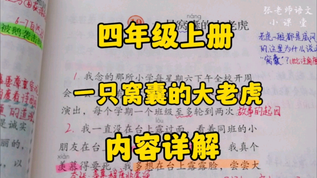 四年级上册:《一只窝囊的大老虎》内容详解,老虎怎么会窝囊呢?边读边练习作批注!哔哩哔哩bilibili