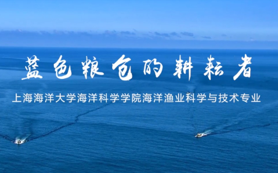 蓝色粮仓的耕耘者