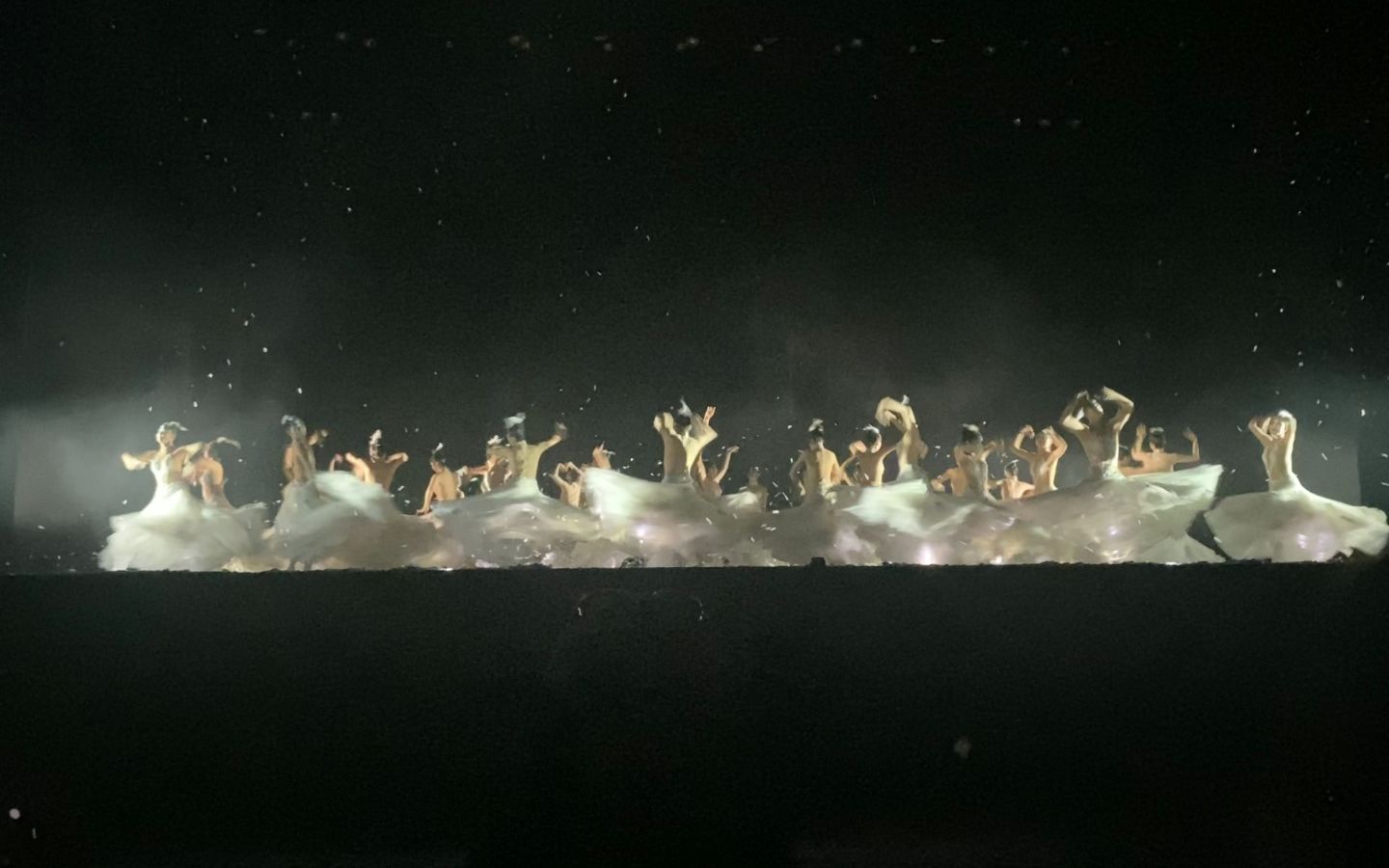 杨丽萍《孔雀》谢幕群舞 南京保利大剧院9.10下午场