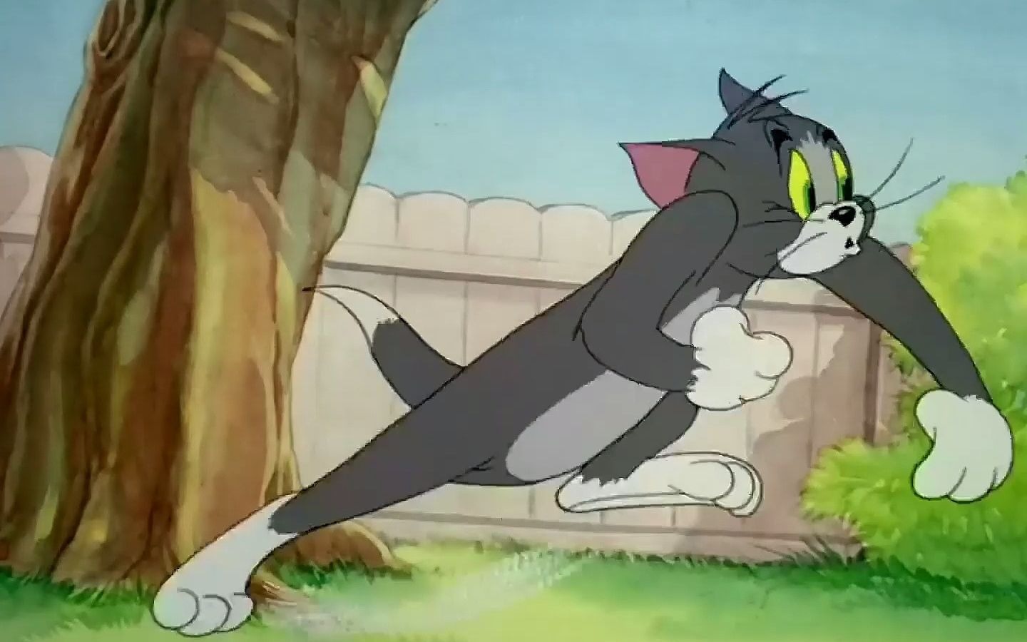 每天一遍,拒绝抑郁,人们至今不知道汤姆的形态有多少种#猫和老鼠