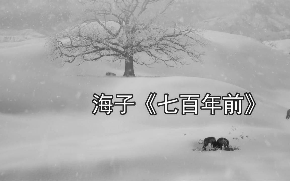 》中国《海子》七百年前》#最美雪景 #珍贵影像 #雪 #现代诗 #诗 #海子的诗哔哩哔哩bilibili