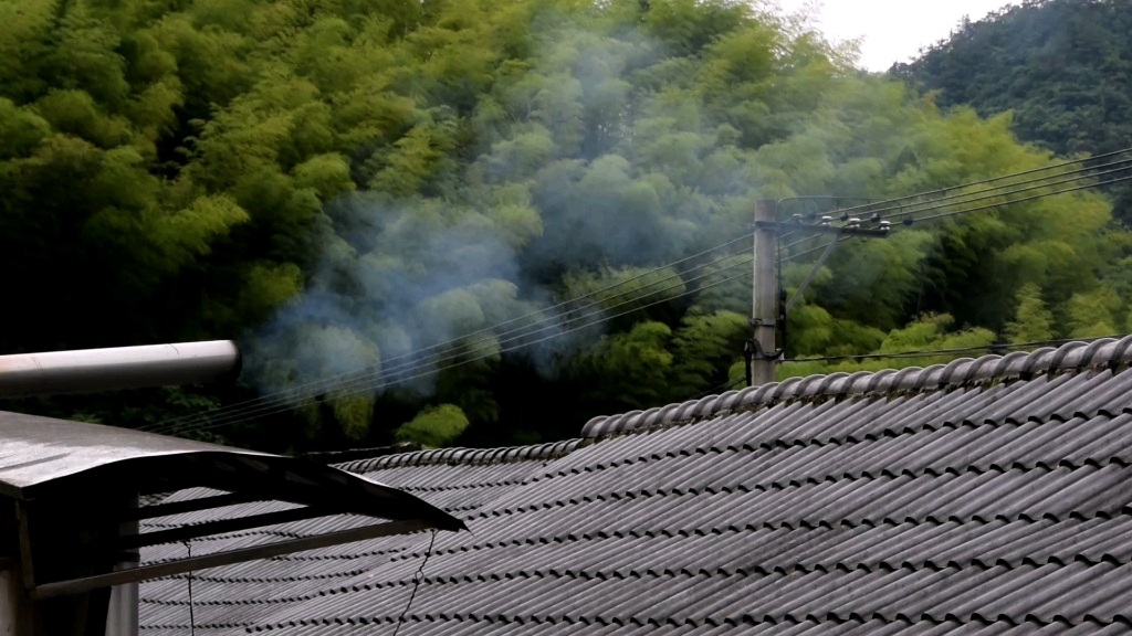 [图]隔着屏幕都能闻到的芝兰香，来吧，云分享今年的高山春八仙单枞茶！