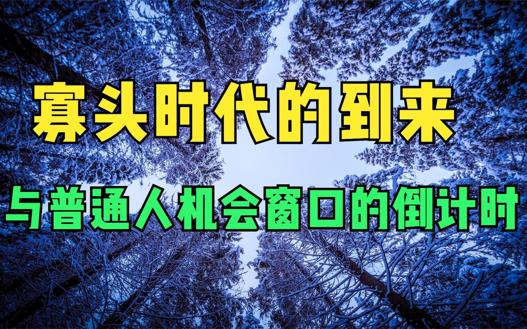 【经济史视野06寡头史】寡头时代到来与普通人机会窗口的倒计时哔哩哔哩bilibili