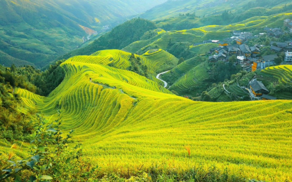 广西龙脊梯田