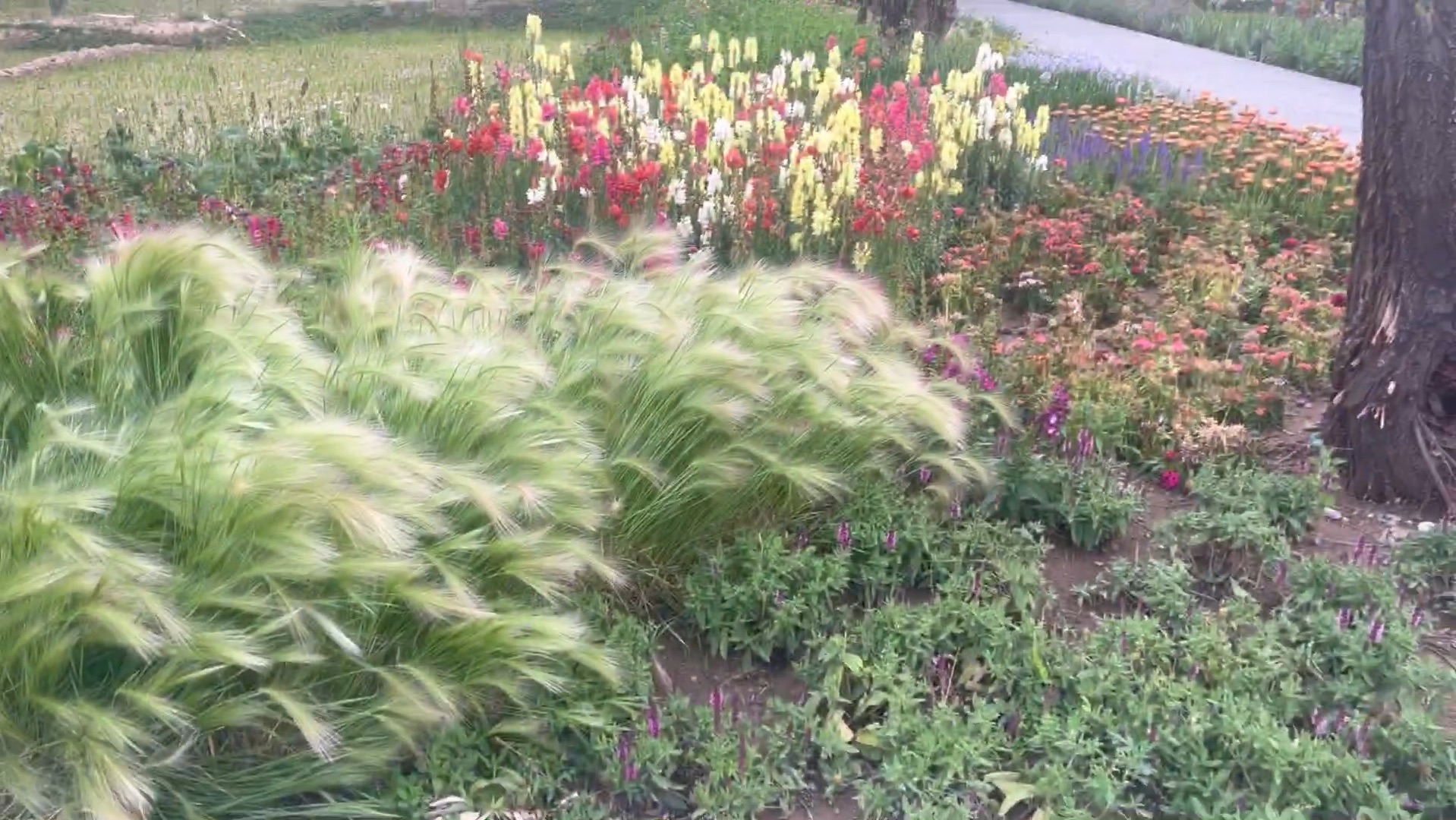 这么美丽的公园city不city啊