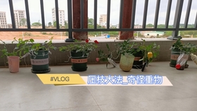 实验三液体饱和蒸气压的测定 哔哩哔哩 つロ干杯 Bilibili