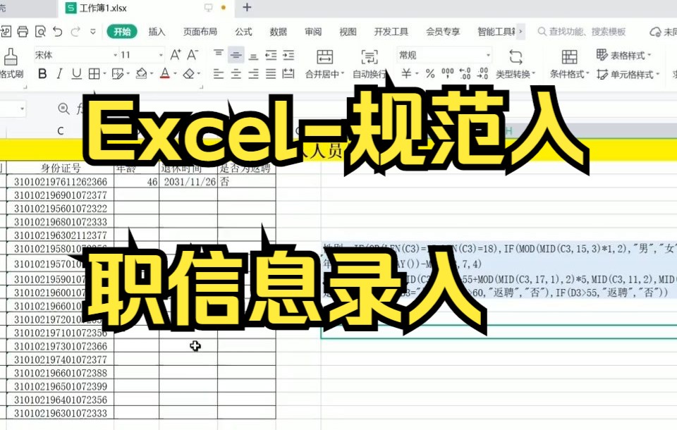 【excel技巧】Excel规范入职信息录入,职场小白必备.哔哩哔哩bilibili