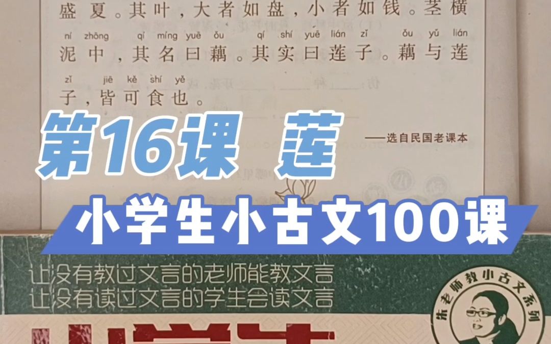 第16课 《莲》 古人不区分果实和种子,一律都叫「实」哔哩哔哩bilibili