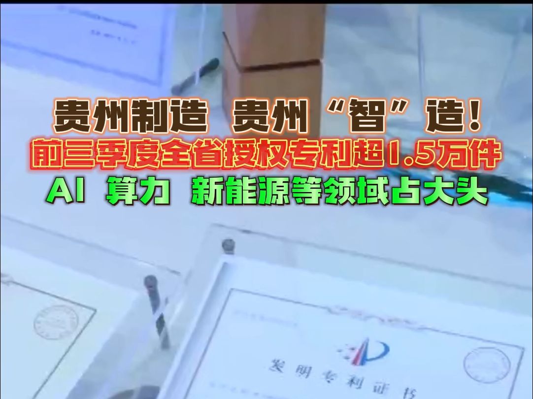 贵州制造,贵州“智”造!前三季度全省授权专利超1.5万件,AI、算力、新能源等领域占大头哔哩哔哩bilibili