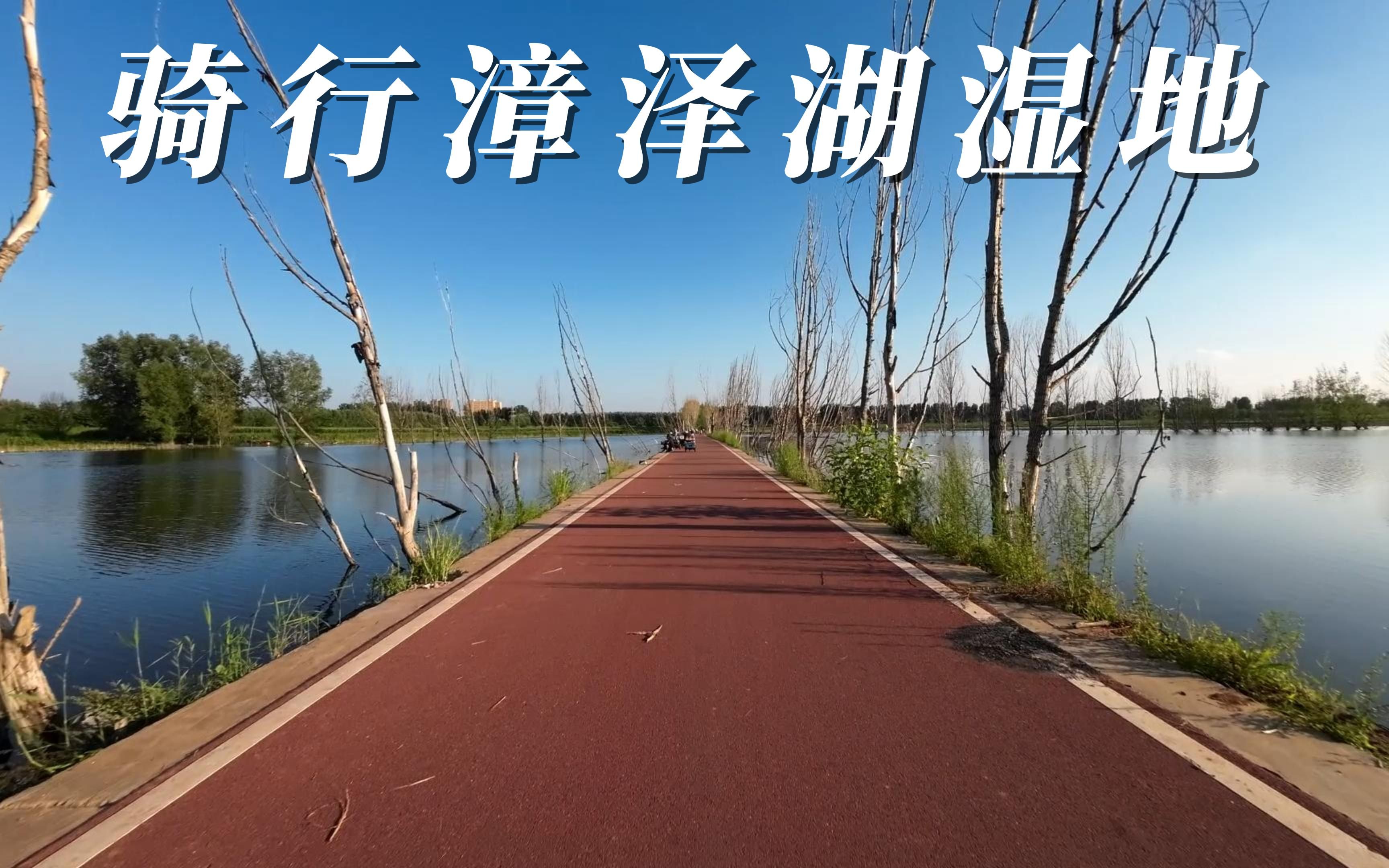骑行漳泽湖湿地