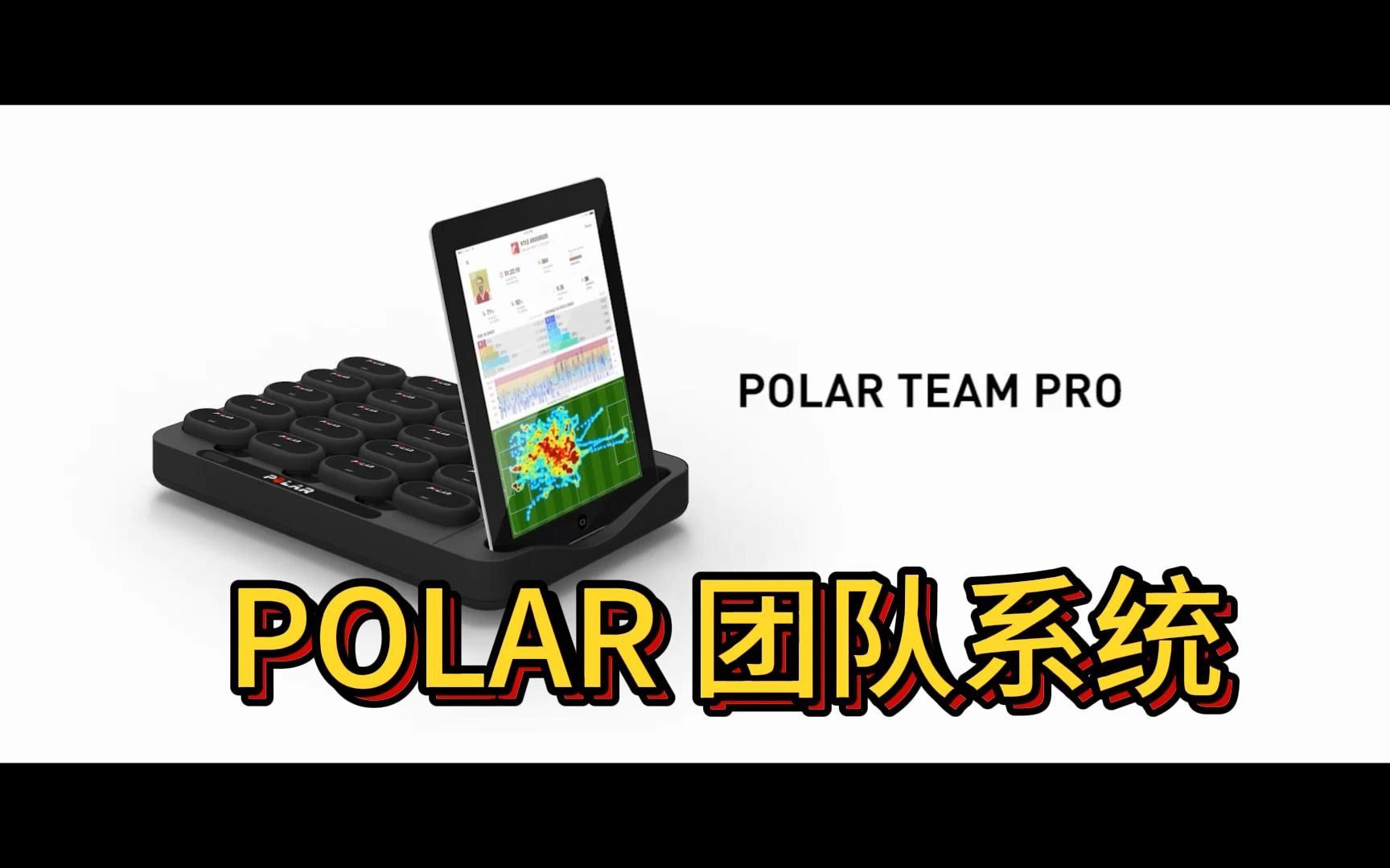 polarteam图片