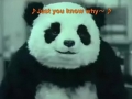 [图]Just you know why panda没拿的害死他