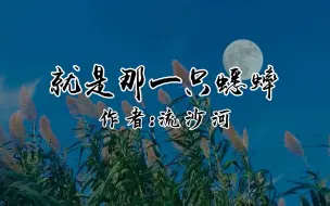 Descargar video: 胡乐民朗诵《就是那一只蟋蟀》配乐 舞台LED背景视频素材 音乐伴奏 背景音乐