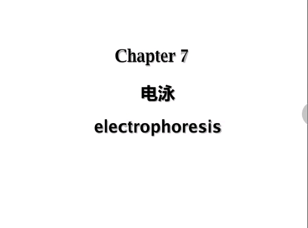 生物分离技术电泳哔哩哔哩bilibili