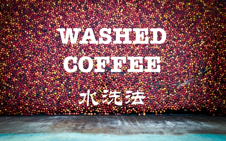 咖啡词典——水洗法Washed #Baggie翻译#哔哩哔哩bilibili