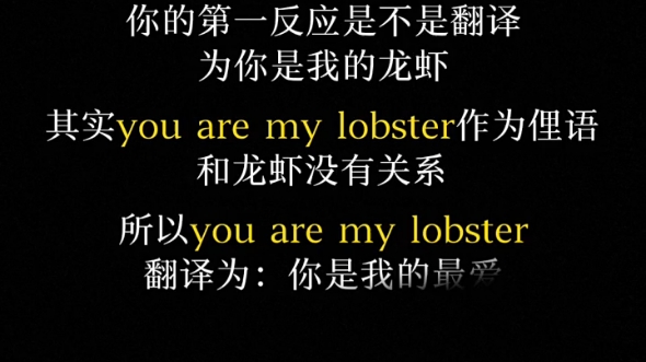 [图]you are my  lobster是什么意思？