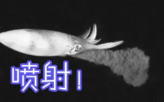 水乌贼 搜索结果 哔哩哔哩 Bilibili 水乌贼 搜索结果 哔哩哔哩 Bilibili