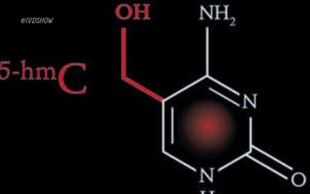 总体DNA羟甲基化极易定量检测试剂盒(比色法)可从各种提纯的DNA中定量检测5hmC含量!哔哩哔哩bilibili