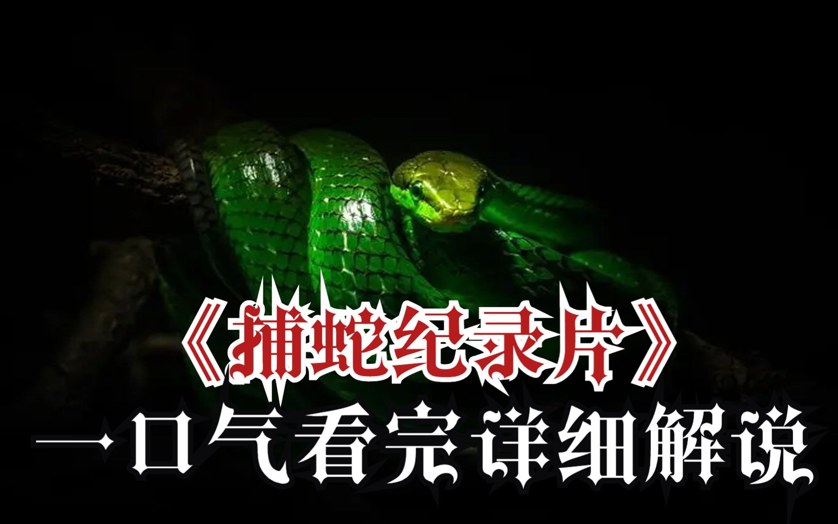 一口气看完《捕蛇纪录片》完整版!爆肝2小时w字!
