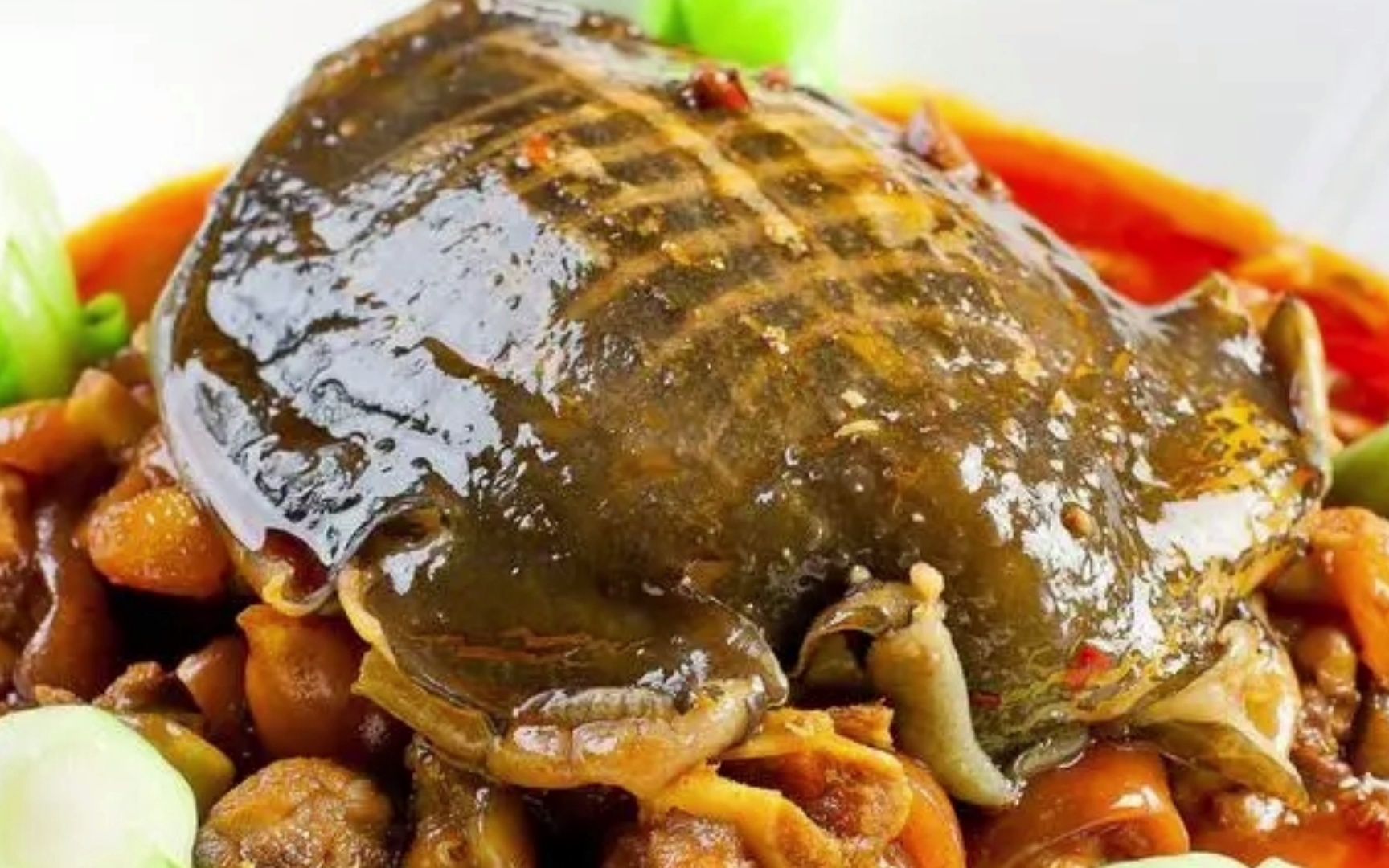 麻辣甲鱼广告录音顺口溜