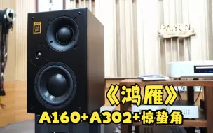 Download Video: 【派扬A160前级+A302纯后级+惊蛰角】演绎姚璎格《鸿雁》视听效果