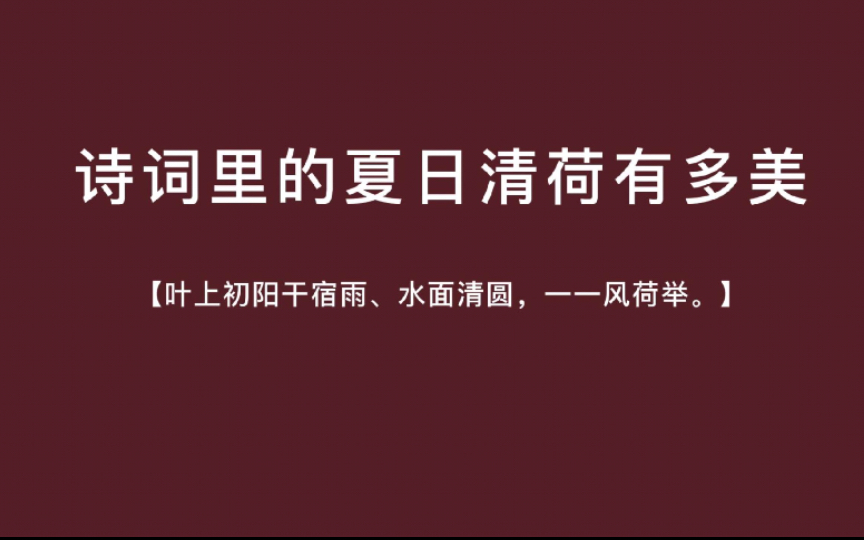 [图]诗词里的夏日清荷有多美「叶上初阳干宿雨，水面清圆，一一风荷举」