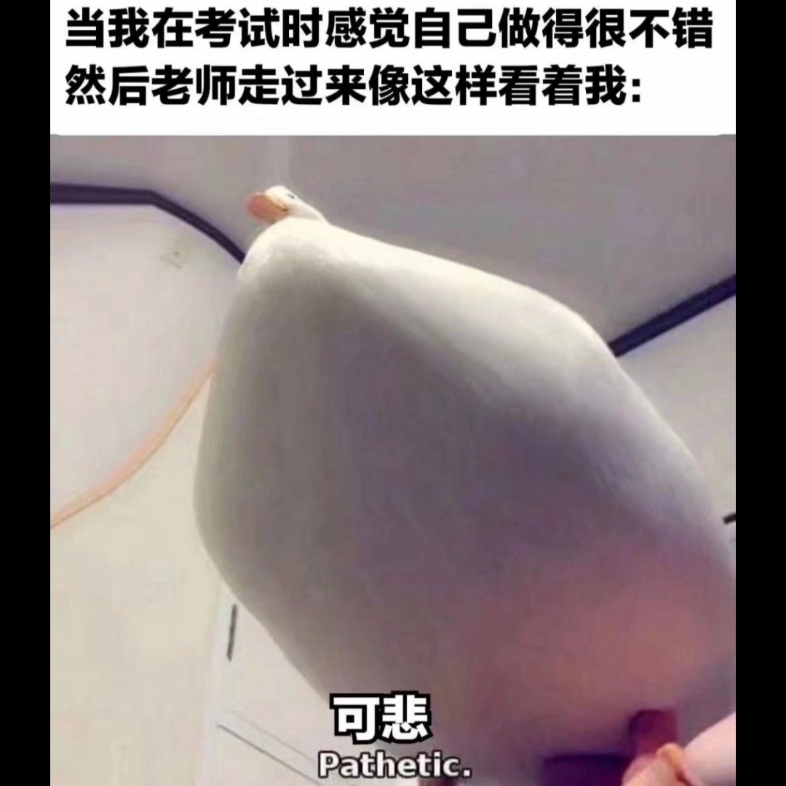 [图]#搞笑梗图#人间真实系列#3