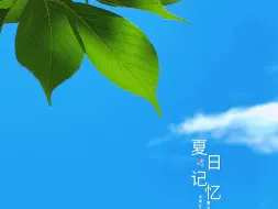 一招教你拍树叶