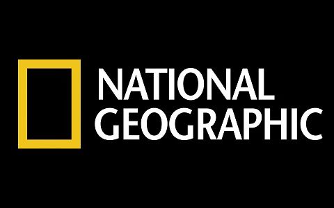 【国家地理】NAT GEO WILD哔哩哔哩bilibili