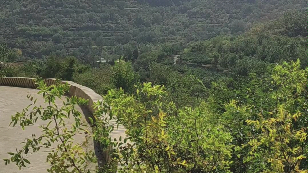 [图]野山风景无限