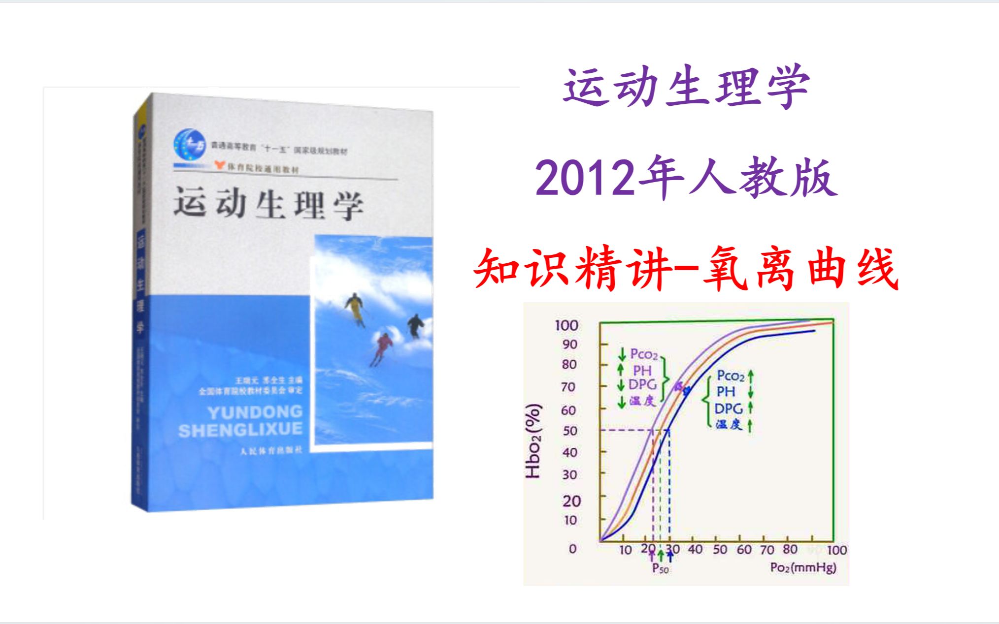 运动生理学人体版氧离曲线的影响因素哔哩哔哩bilibili