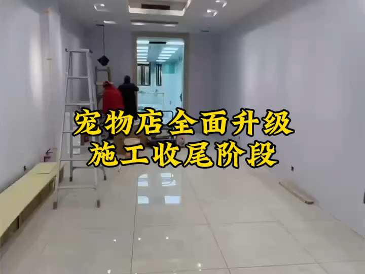 宠物店全面升级,施工收尾阶段哔哩哔哩bilibili