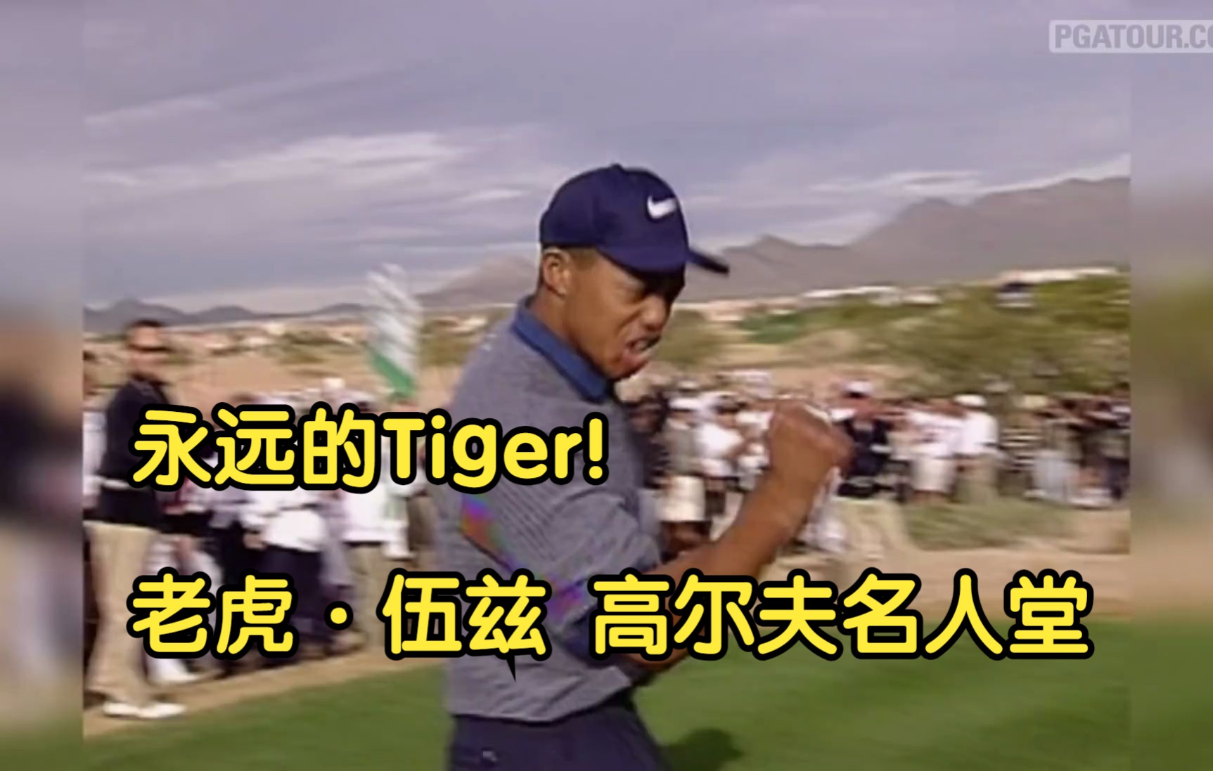 Tiger老虎ⷮŠ伍兹入选高尔夫名人堂奇迹击球集锦,送给所有爱好高尔夫的球迷们!Top 10 Tiger Woods Shots on the PGA TOUR哔哩哔哩bilibili