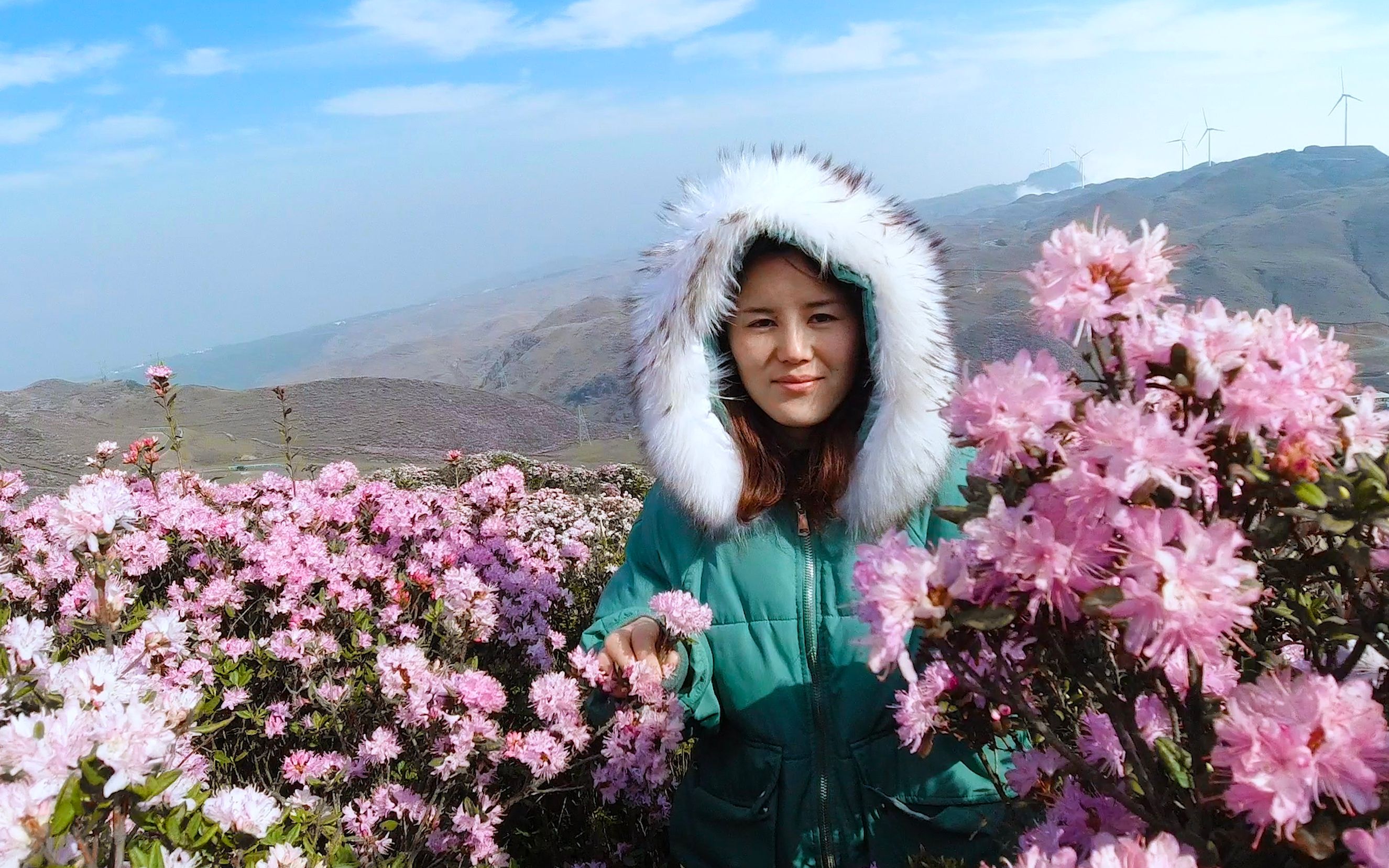 贵州大山最美花海,漫山遍野都是杜鹃花,太壮观了!哔哩哔哩bilibili