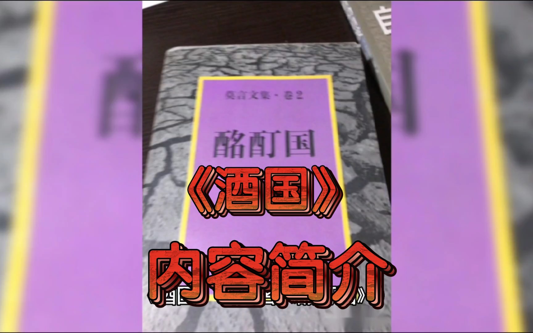 《酒国》内容简介哔哩哔哩bilibili