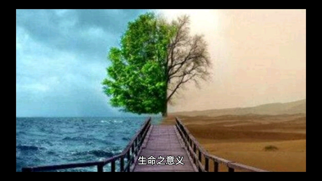 [图]生命之意义#摘自《活出生命的意义》维克多•弗兰克尔